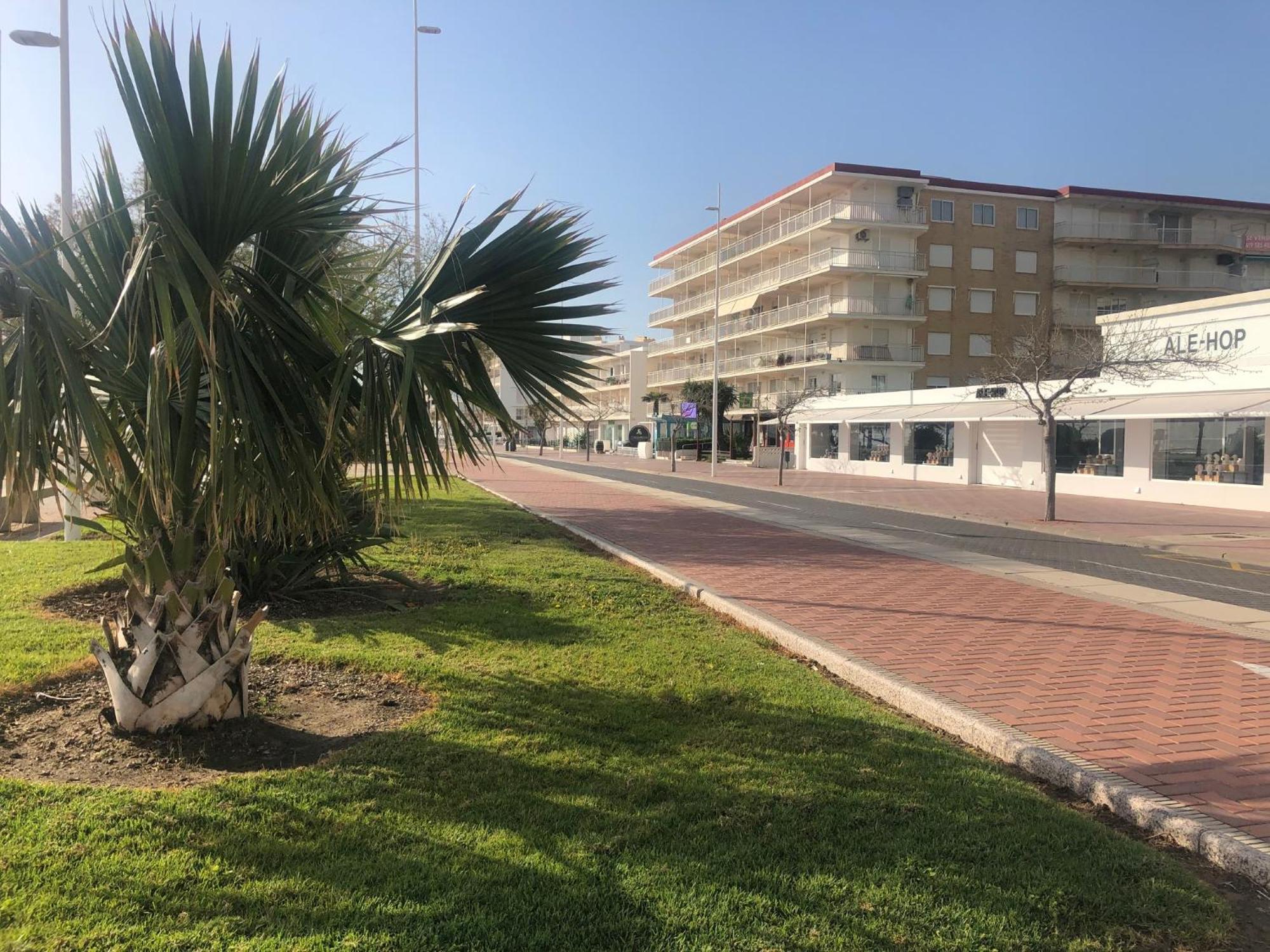 Playa De Gandia 1Ere Ligne El Galeon Lejlighed Eksteriør billede